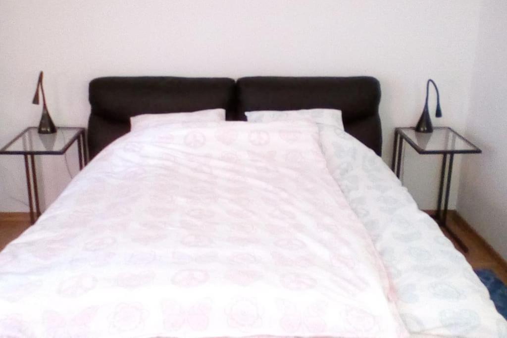 Zagreb Botanical Garden Budget Apartment Eksteriør bilde